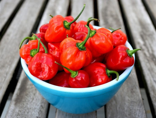 Wat zijn Habanero Pepers?